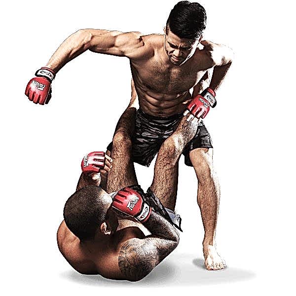 MMA (Mixed Martial Arts)